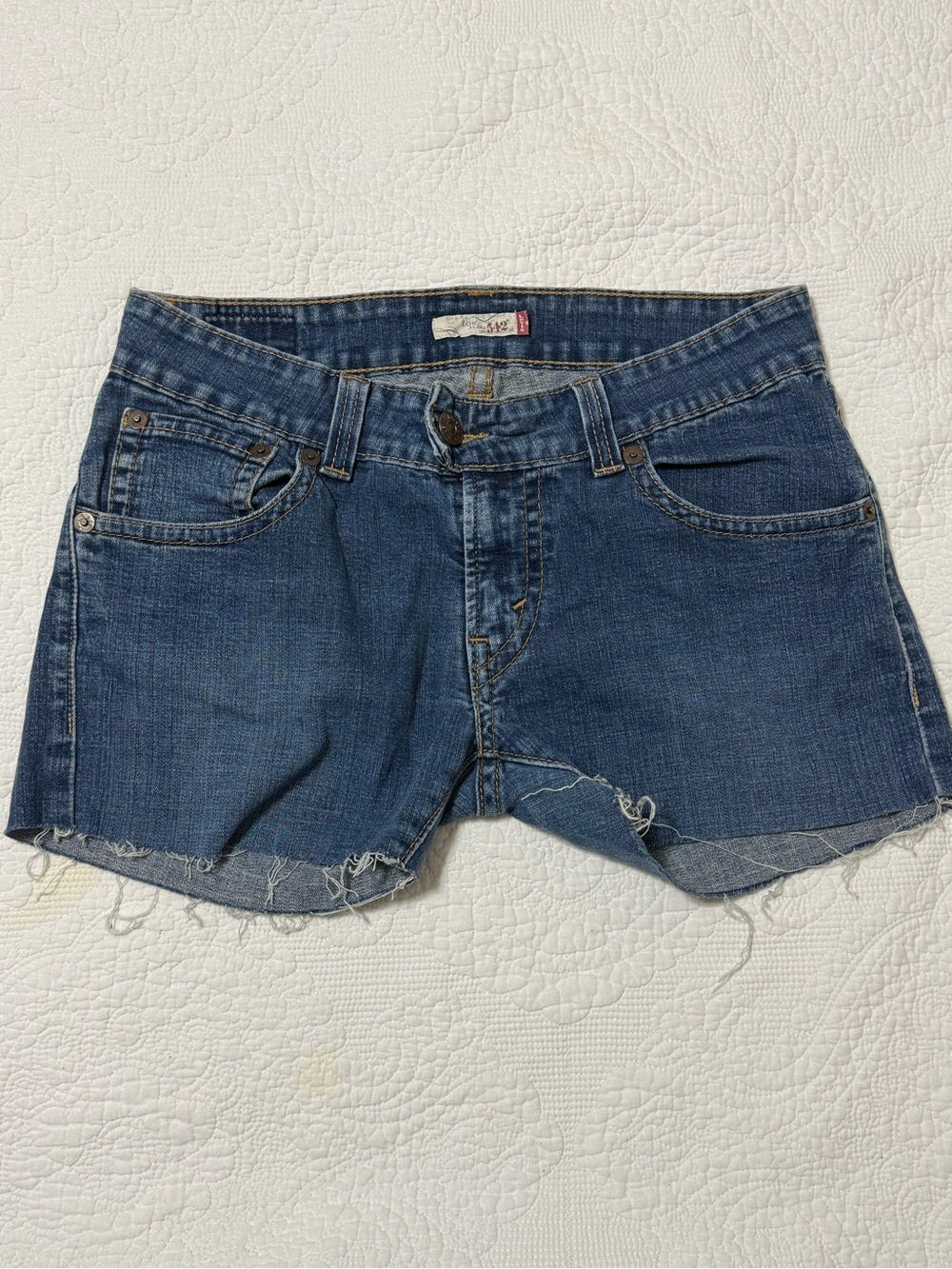 Levi's Blue Denim Cutoff Shorts with Frayed Hem